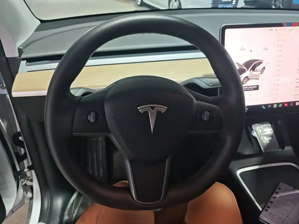 Tesla Model Y 2021 2021 Standard Range Rear-Wheel Drive