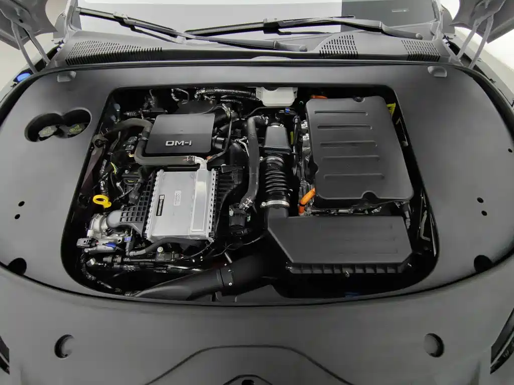 Фото 6 - BYD Han