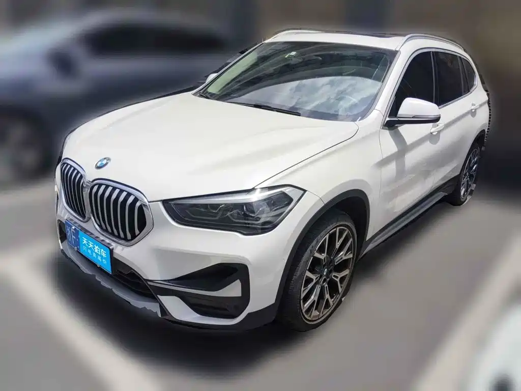 BMW X1 2020 xDrive25Li Premium Edition