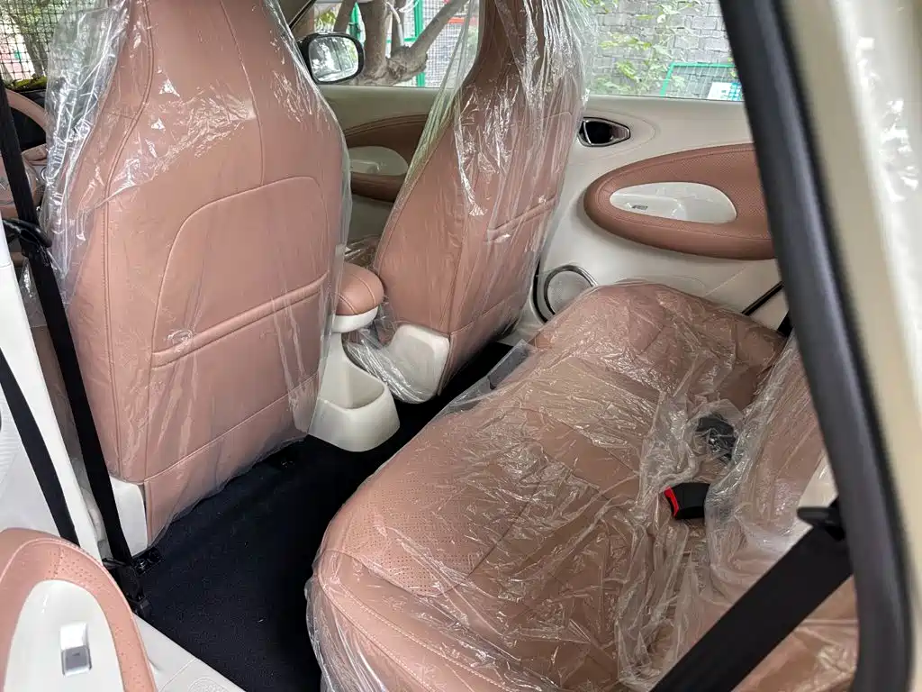 Wuling Motors Wuling Bingo 2026 2025 Model 333km Joy Edition