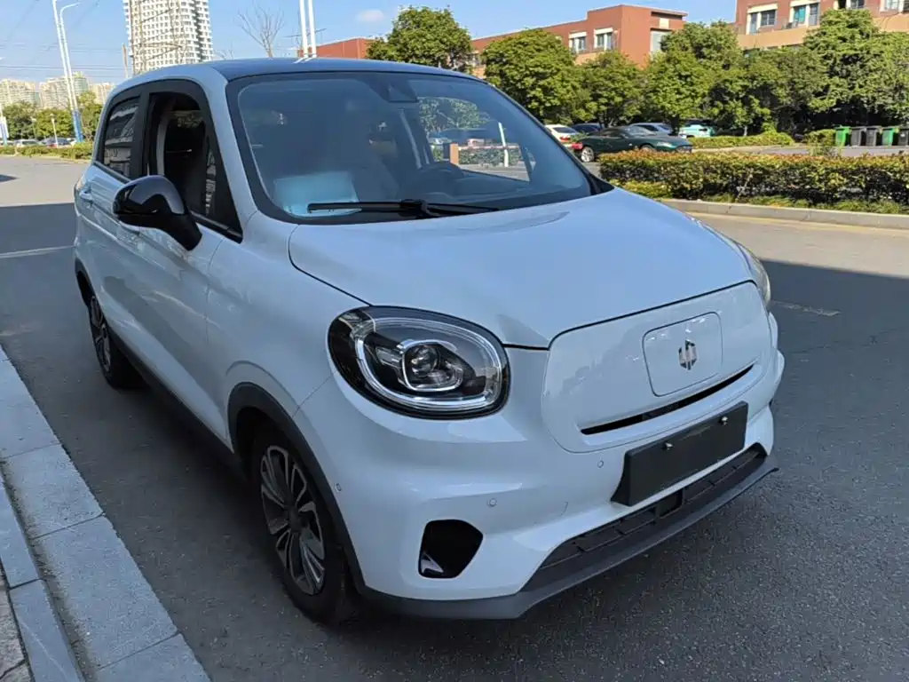 Leapmotor T03 2021 2021 400 Luxury Edition