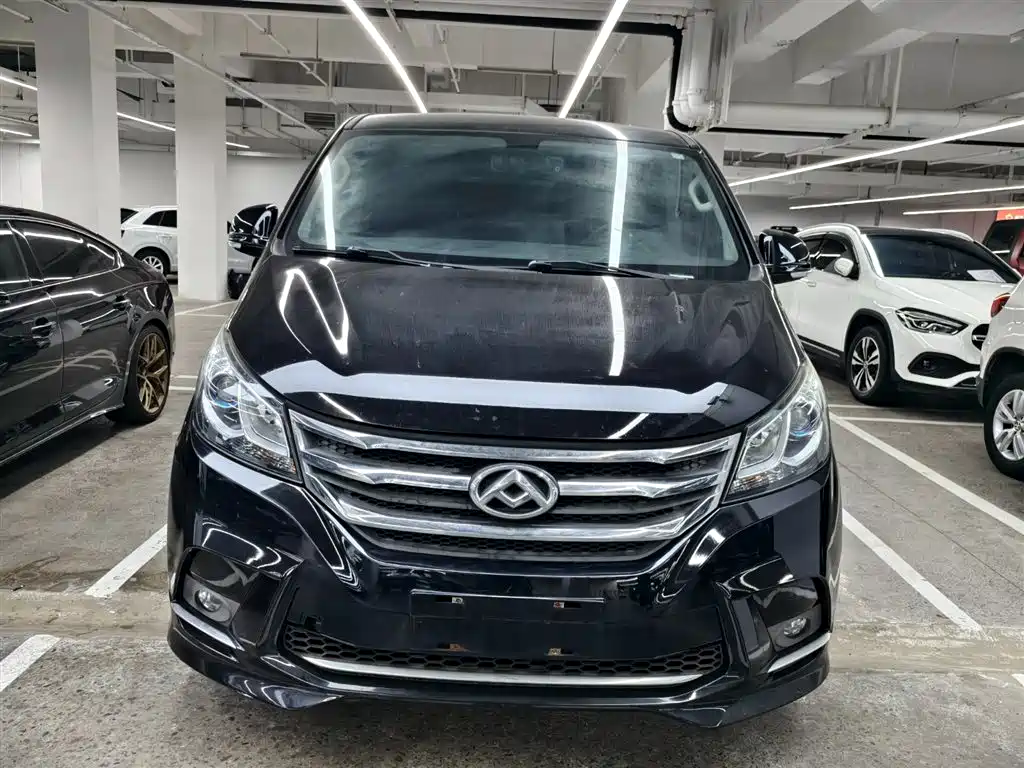 SAIC MAXUS CHASE G10