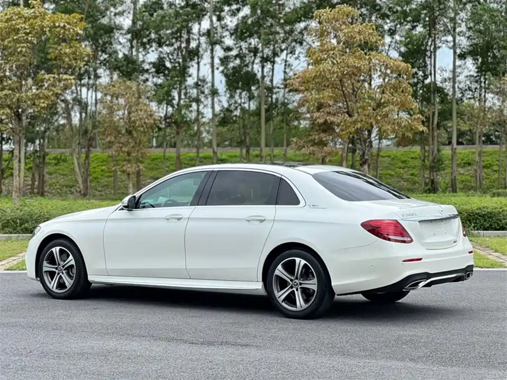Mercedes-Benz E-Class 2019 E 200 L Sport фото 8