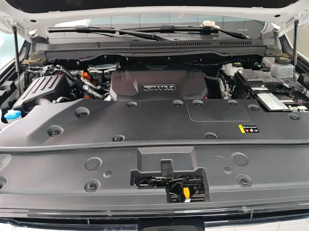 Tank 500 EV 2023 Hi4-T фото 20