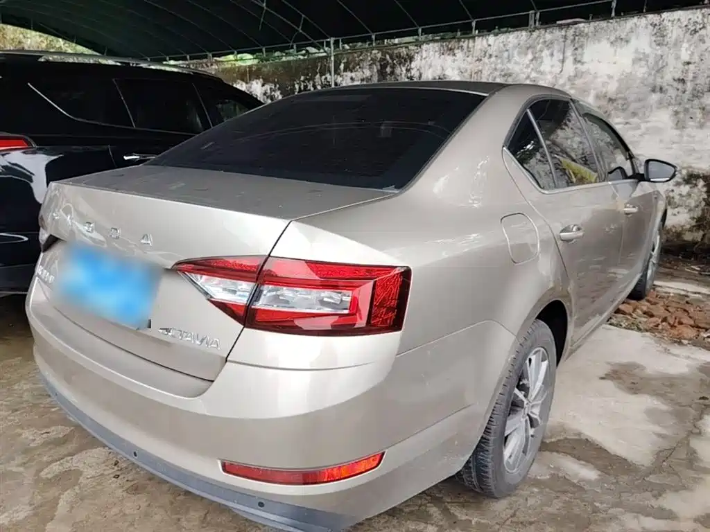 Škoda Octavia 2019 TSI230 DSG Zhixing Comfort Edition China VI фото 7