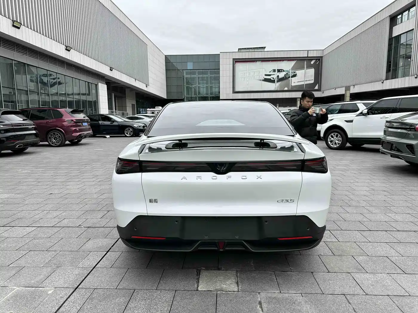 ARCFOX EXTREME FOX POLAR FOX ALPHA S5