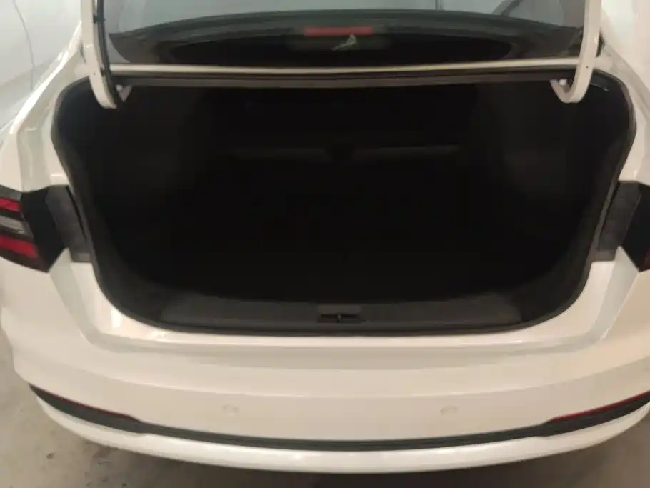 2023 Venucia D60