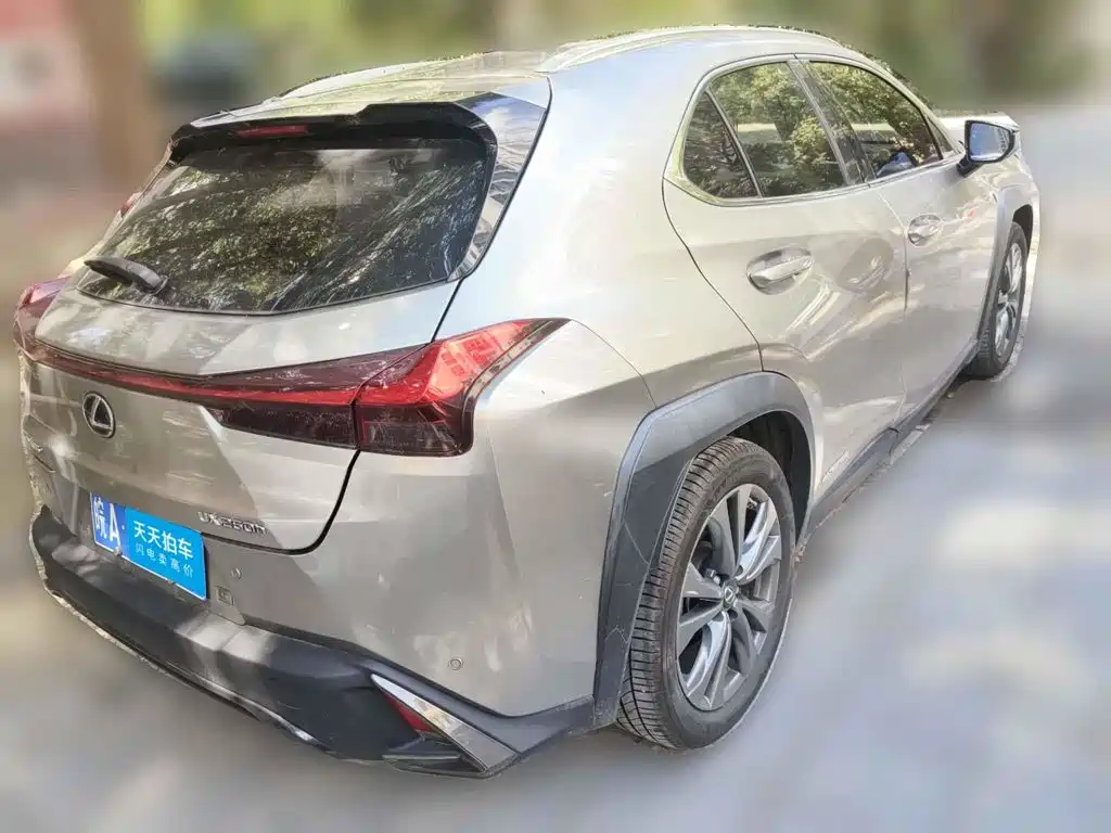 Фото 2 - Lexus UX