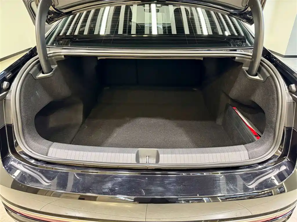 Volkswagen Passat 2025 Pro 380TSI Dragon Glory Edition фото 12