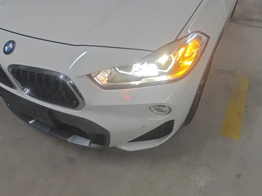 BMW X2 (Import) 2019 sDrive20i M Off-Road Package China VI фото 24