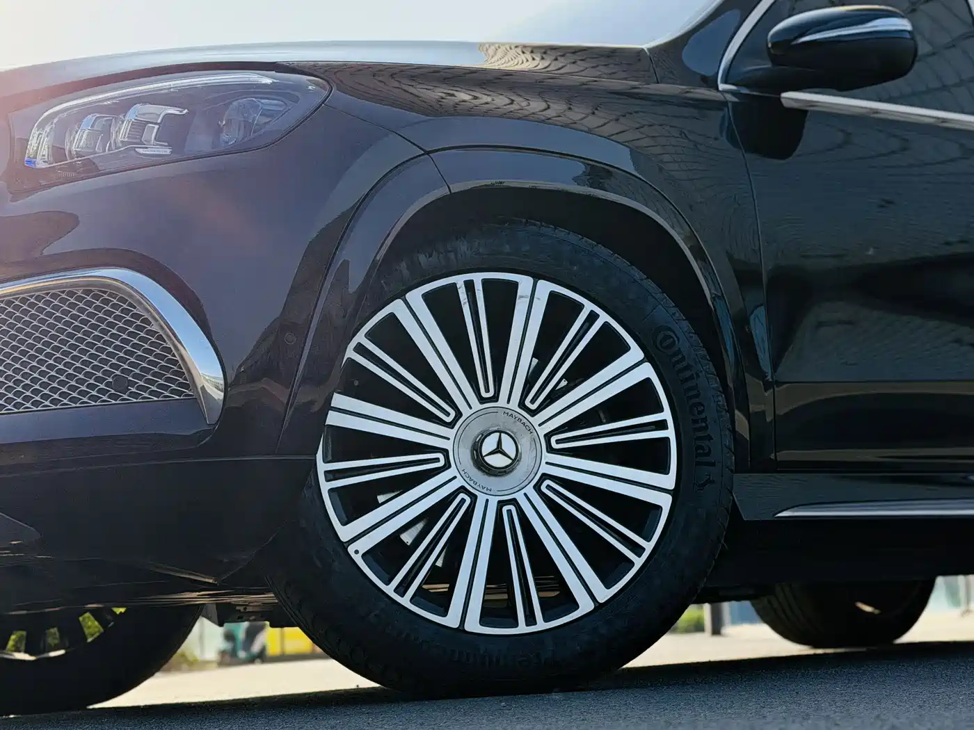 Mercedes-Benz Maybach GLS 2021 GLS 480 4MATIC фото 3