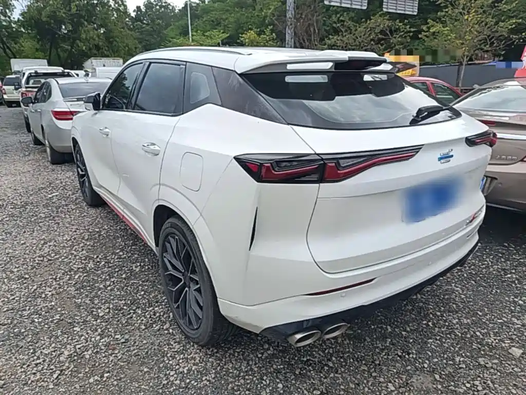 Changan Oshan Z6 2023 2023 Blue Whale 2.0T Auto Smart Drive