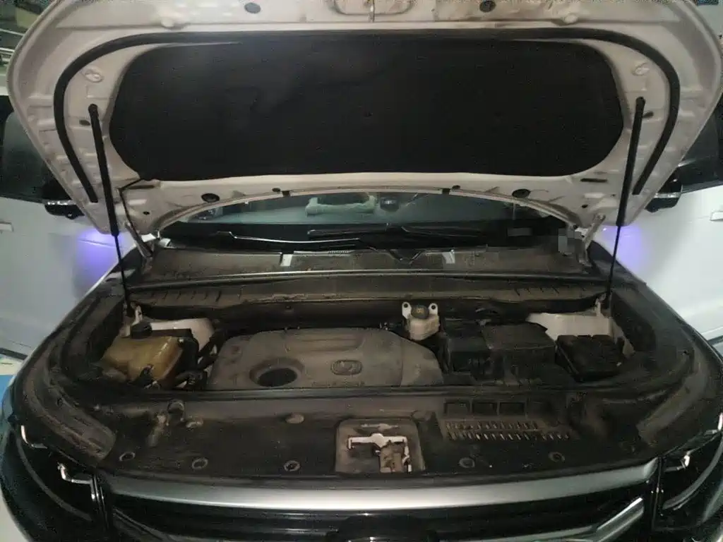 Changan CS95 2021 2019 2.0T 2WD Luxury