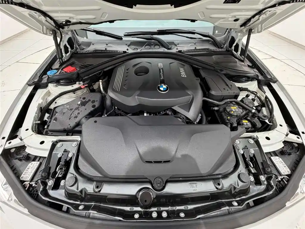 BMW 3 Series 2018 320Li M Sport Black Night Edition фото 18