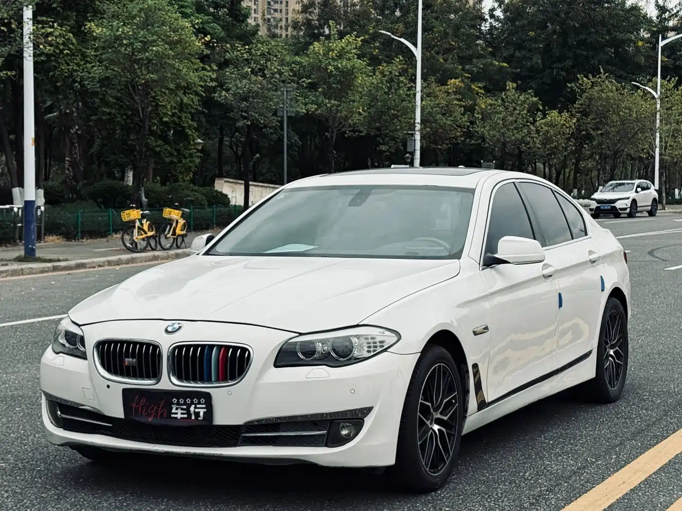 BMW 5 Series 2013 530Li Leadership