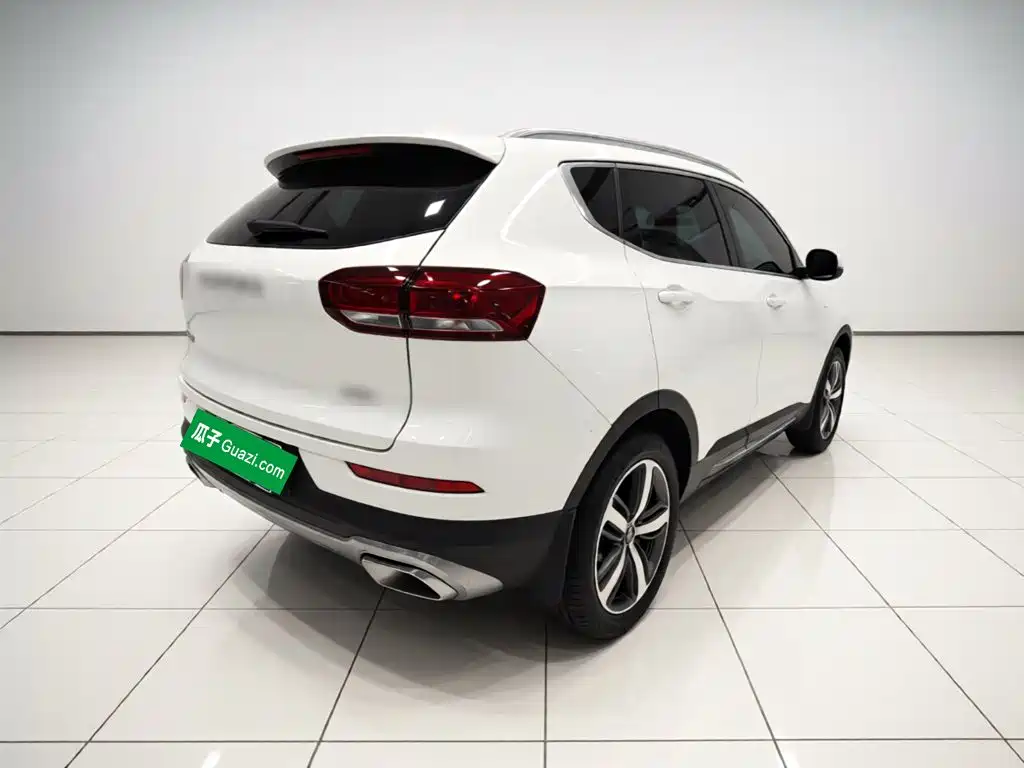 صورة 4 - Haval H6