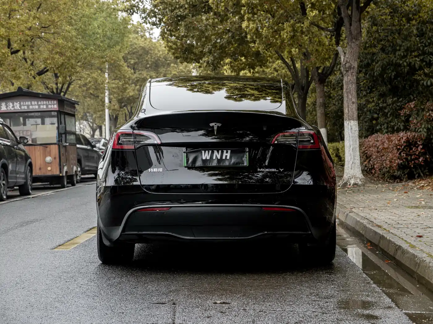 TESLA MODEL Y