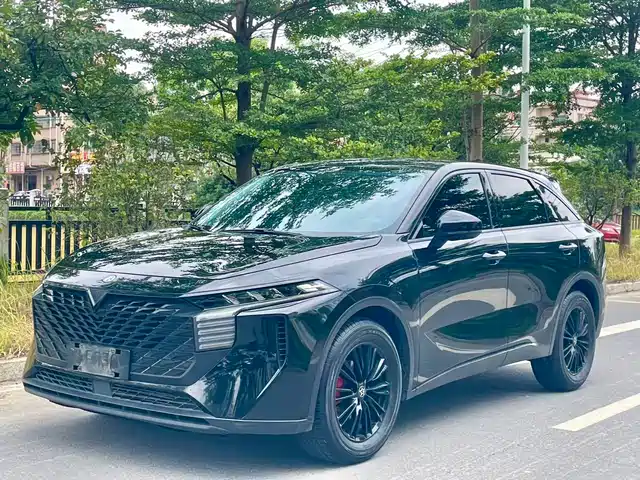  Venucia Venucia Big V 2022 260T Dark Horse Edition·Idol