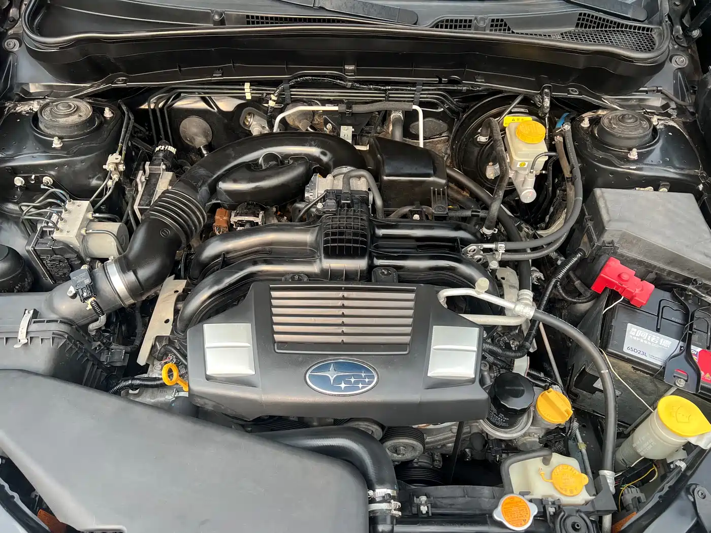 Subaru Forester 2012 Classic 2.0XS Auto Luxury Edition фото 14