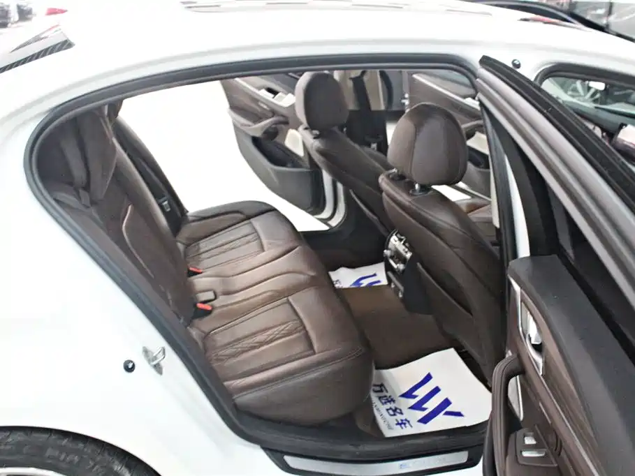 BMW 5 SERIES NEW ENERGY