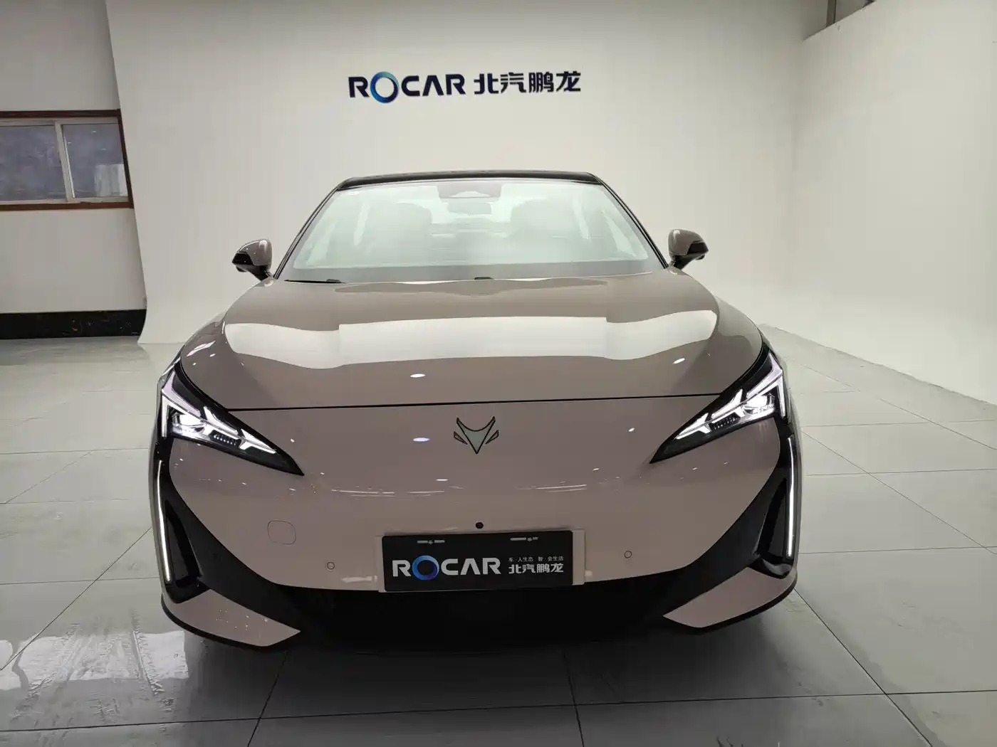 ARCFOX EXTREME FOX POLAR FOX ALPHA S5