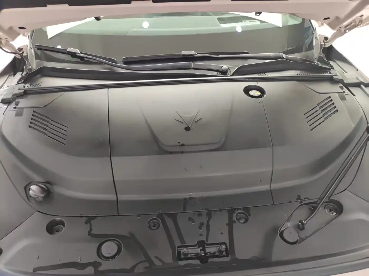 ARCFOX EXTREME FOX POLAR FOX ALPHA S5