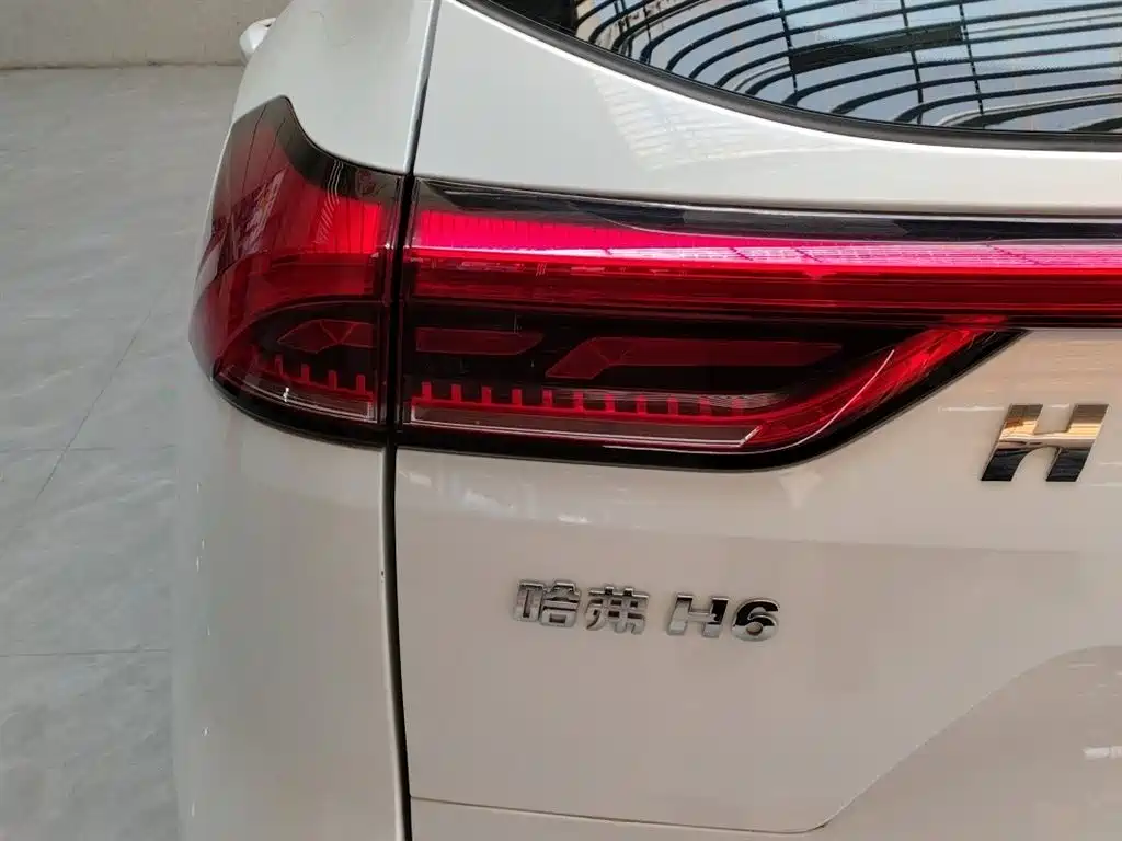 Haval H6 2023 National Trend Edition 1.5T Automatic Urban фото 5