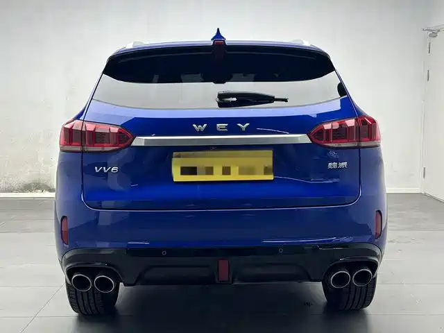 Фото 5 - WEY VV6