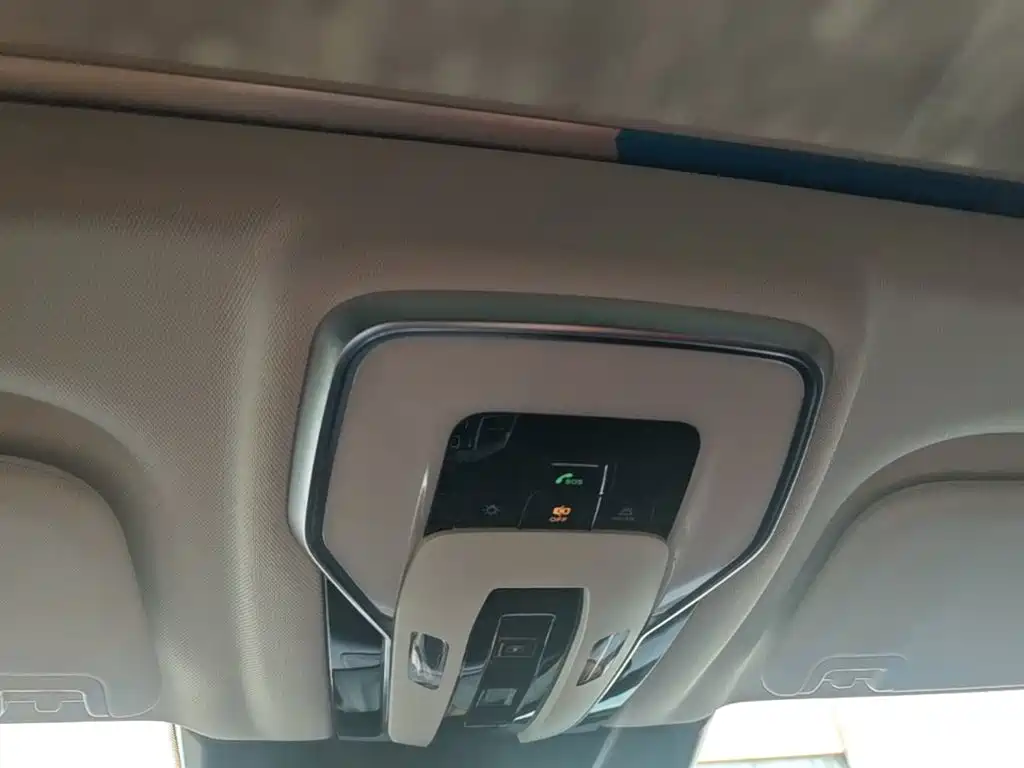 Hongqi E-HS9 2024 2021 460km Flagship Comfort 6-seater