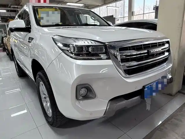 Haval H9 2020 2.0T Gasoline 4WD Premium 5-Seater фото 3
