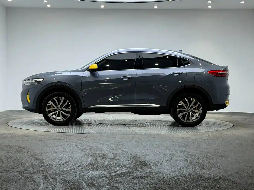 Haval F7x 2020 2019 2.0T 4WD Performance Edition