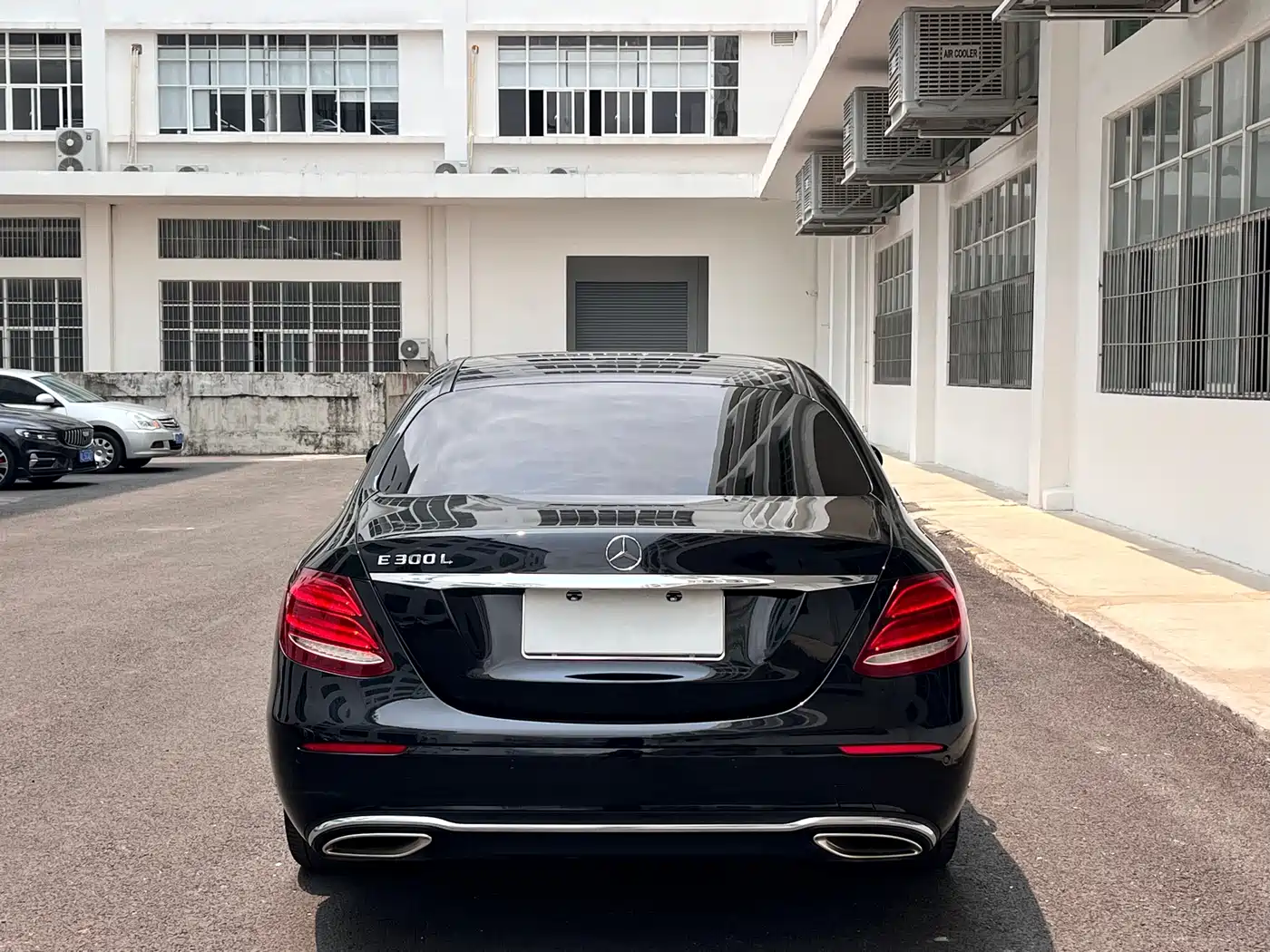 Mercedes-Benz E-Class 2020 E 300 L Fashion фото 6
