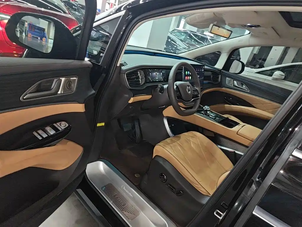 Denza D9 2024 DM-i 980 AWD Prestige фото 16