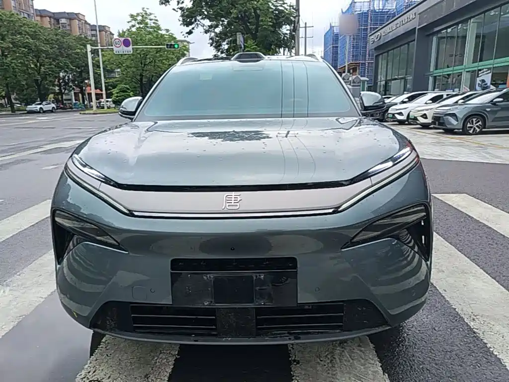 Фото 3 - BYD Tang L
