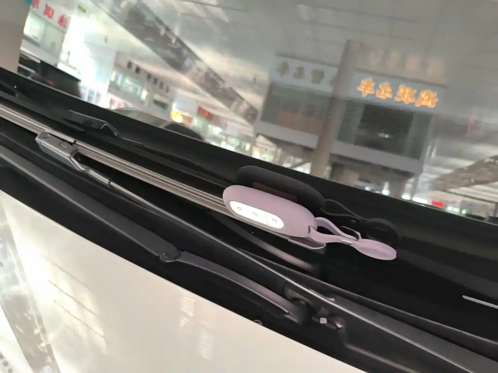 Leapmotor B10 2026 2025 600 Joy Edition