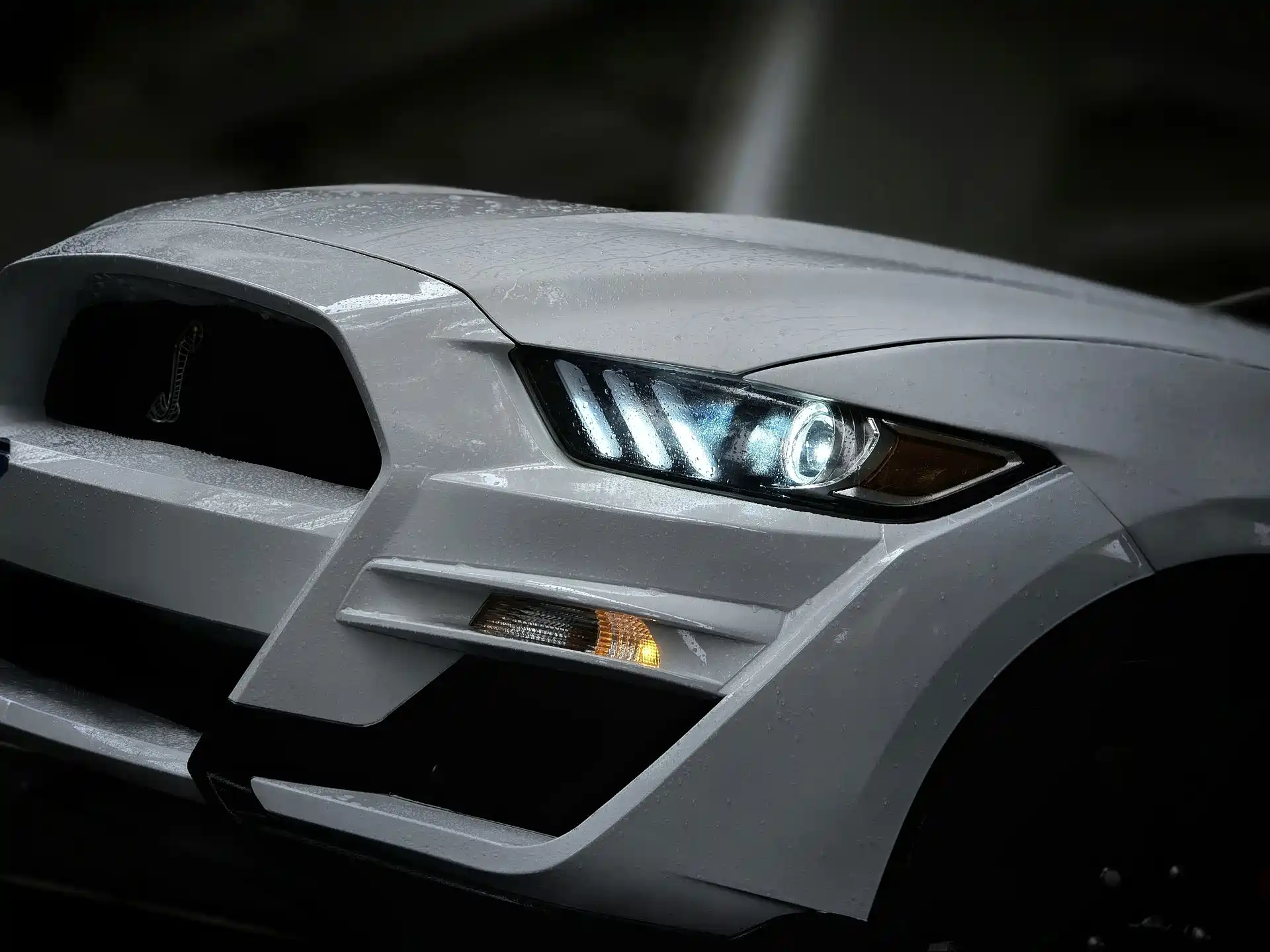 صورة 7 - Ford Mustang