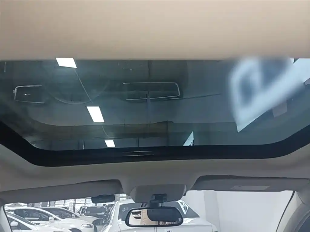 DS 5LS 2018 2018 30THP Premium Edition