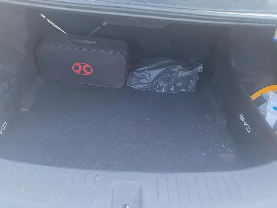 BYD Qin New Energy 2018 2018 Qin EV450 Smart Connected Premium Edition