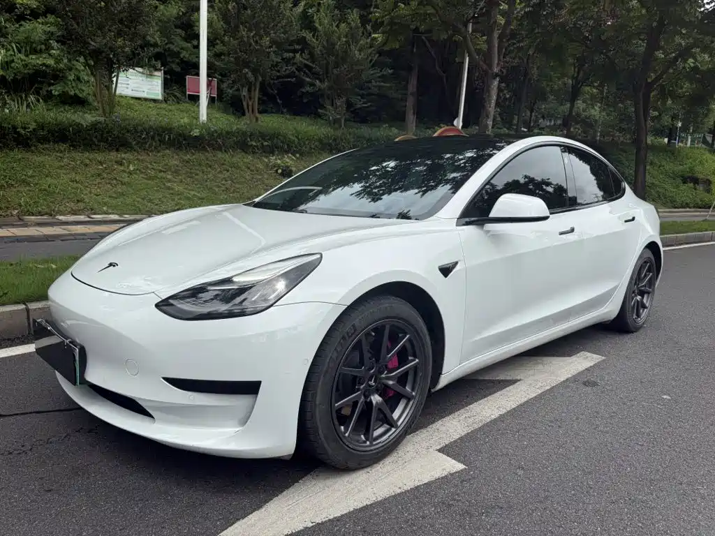 Tesla Model 3 2020 2020 Standard Range Rear-Wheel Drive Upgrade