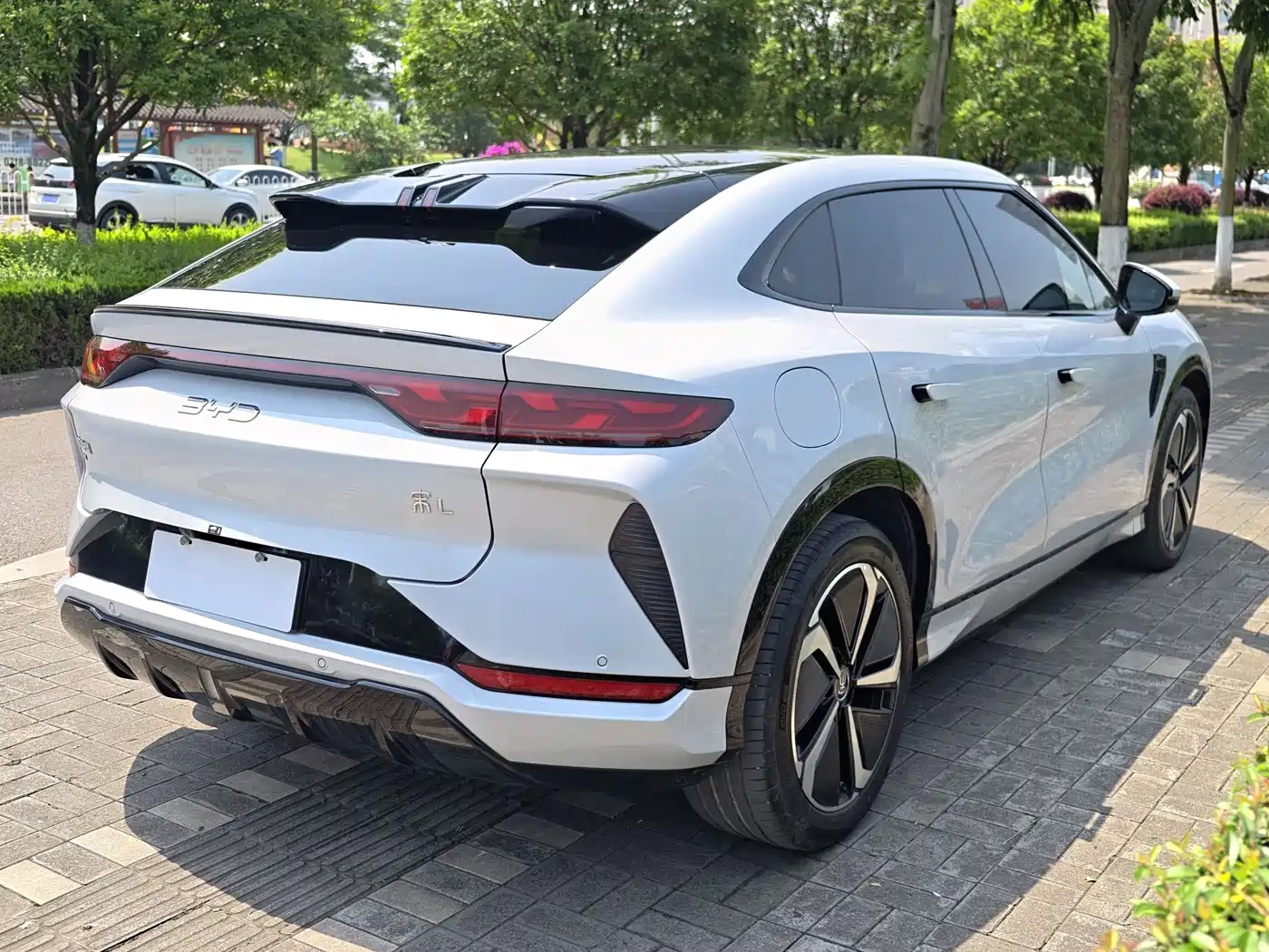 BYD Song L EV 2025 2025 Smart Drive Edition 662km Surpassing Type
