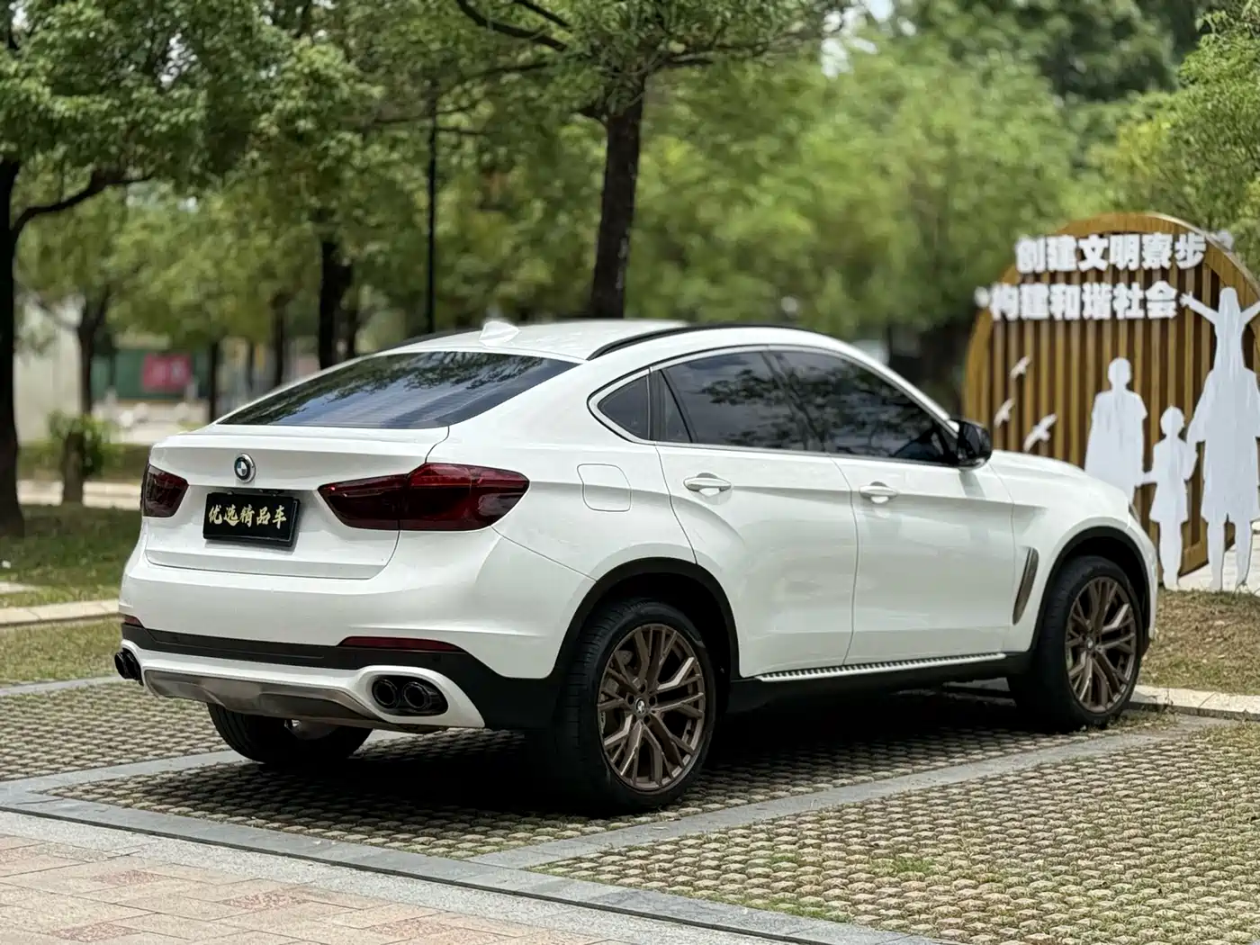 BMW X6 2017 xDrive35i Luxury фото 9