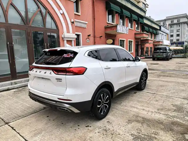 Haval H6 2021 National Trend Edition 1.5T Automatic Urban Edition — фото 5