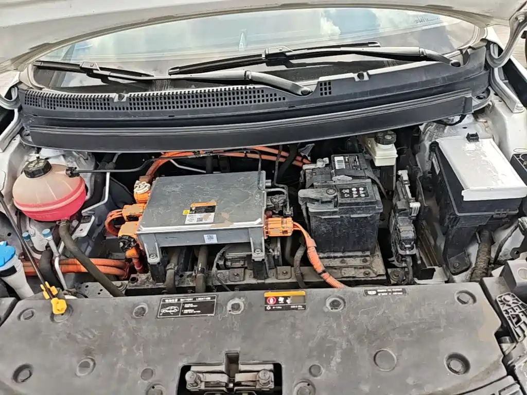 Geely Geometry E Firefly 2022 2022 401KM Thunder Tiger 4-Seater