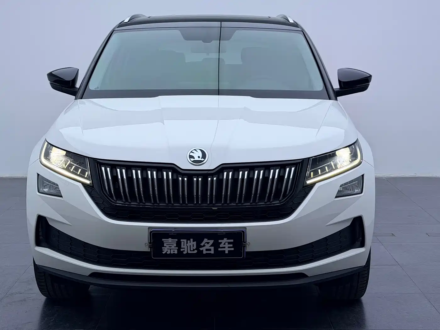 Škoda Kodiaq GT 2022 TSI330 2WD Luxury Edition фото 5