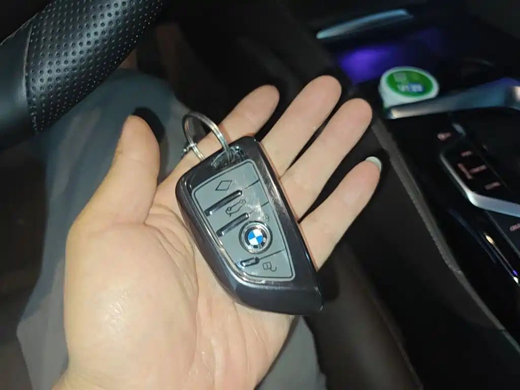 BMW 5 Series New Energy 2020 530Le Range Upgrade Luxury Package фото 9