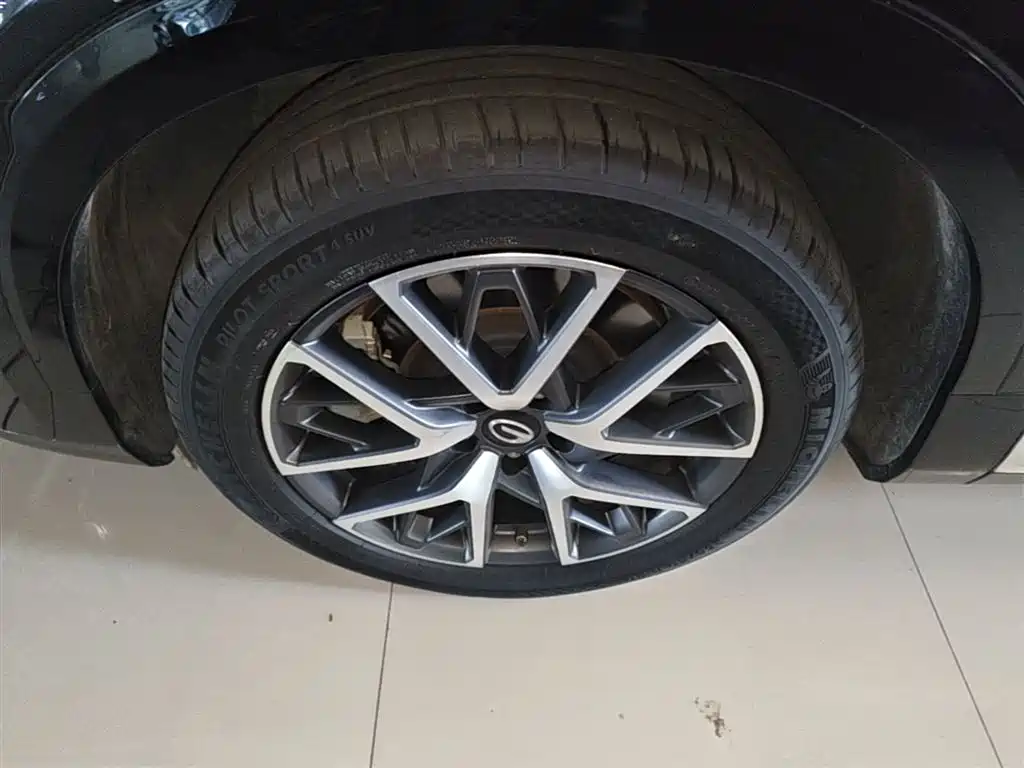GAC Trumpchi Trumpchi ES9 2024 PHEV 143km Pro+ фото 23