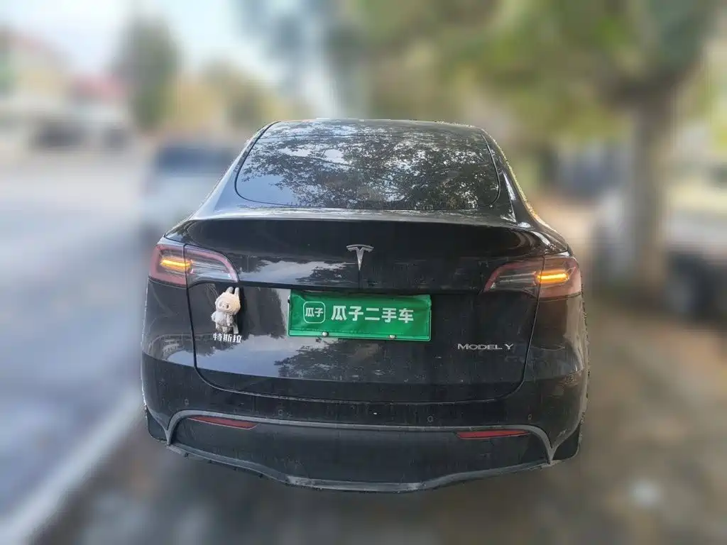 Tesla Model Y 2021 2021 Standard Range Rear-Wheel Drive