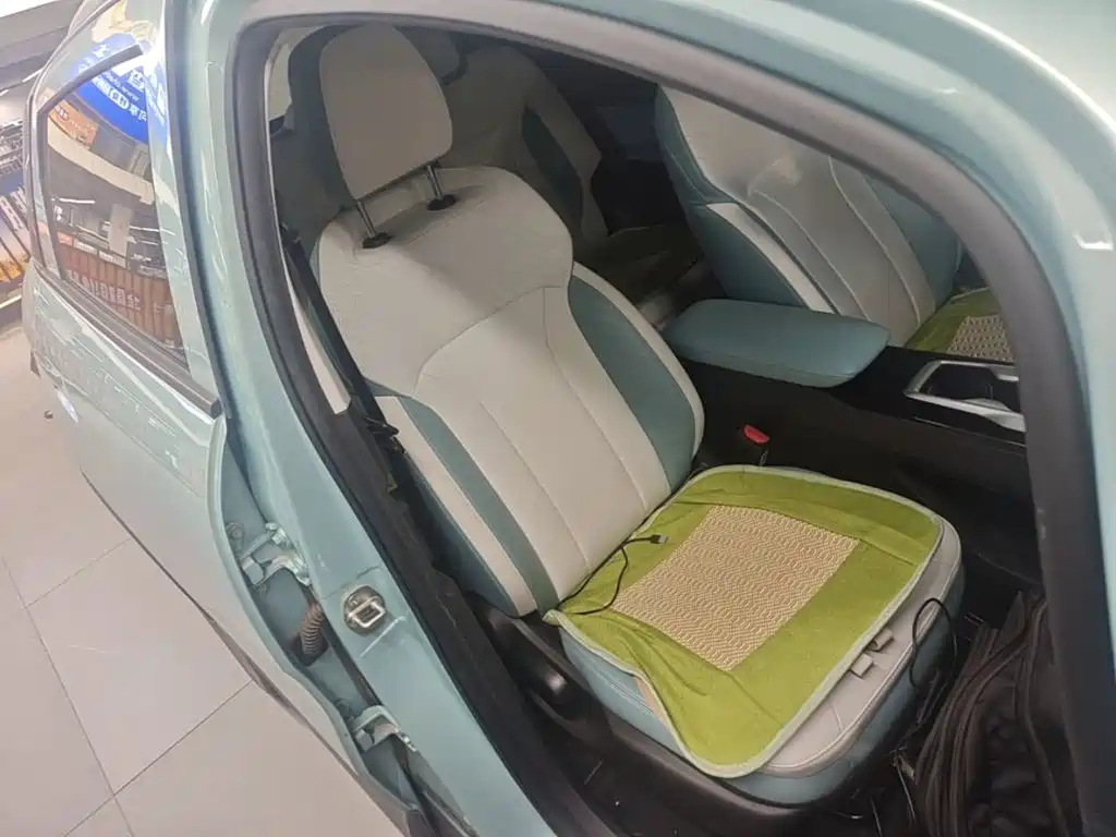 Geely Geometry E Firefly 2023 2024 Model 301km Starlight