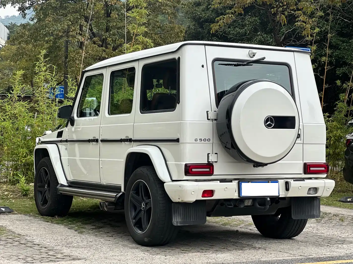 Mercedes-Benz G-Class 2018 G 500 designo Masterpiece Collector's Edition фото 6