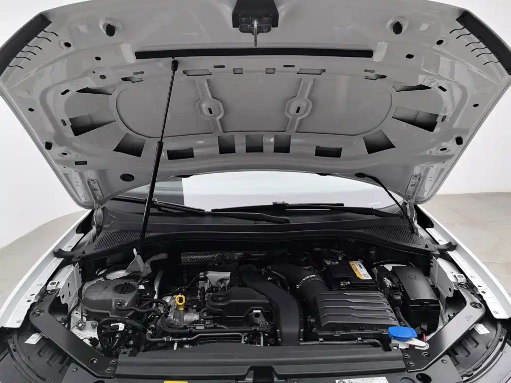 Фото 6 - Volkswagen Tiguan L